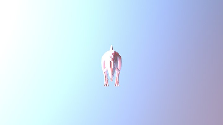 Allo Rigged 3D Model