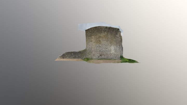 Clarendon test 3D Model
