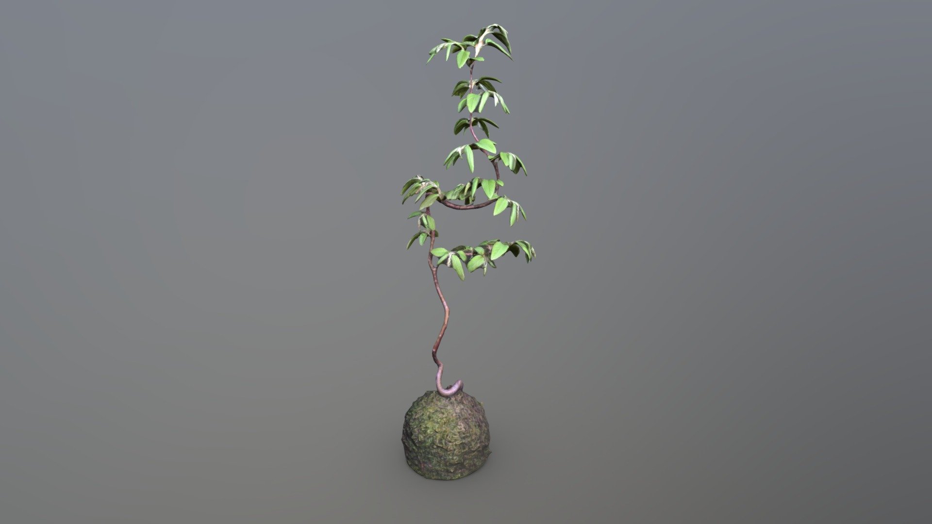 kokeball01