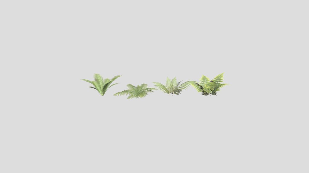 Realistic Fern Plant Bush