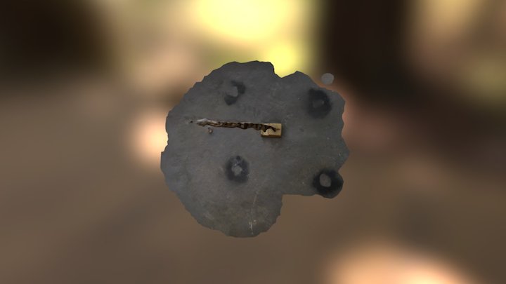Scan of branch 3D Model