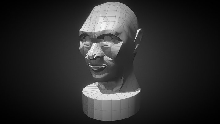 Bust Practice 3D Model