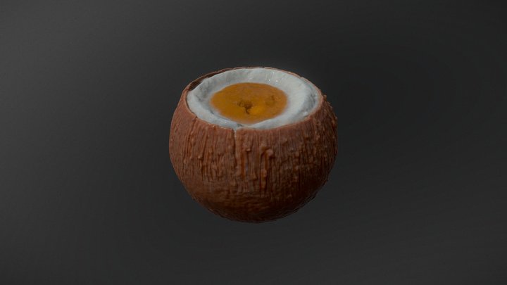 Cocco 3D Model