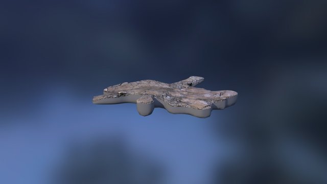 Leedsichthys Bone 10010 3D Model
