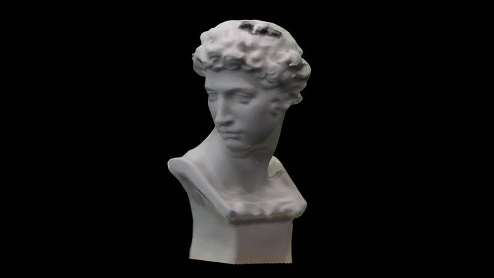 David Captured by Okulo P1 RGBD Camera – Modello 3D gratuito STL