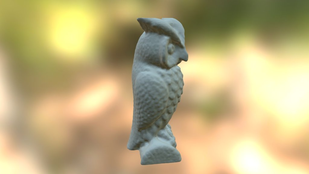 3D Printed Owl Scan