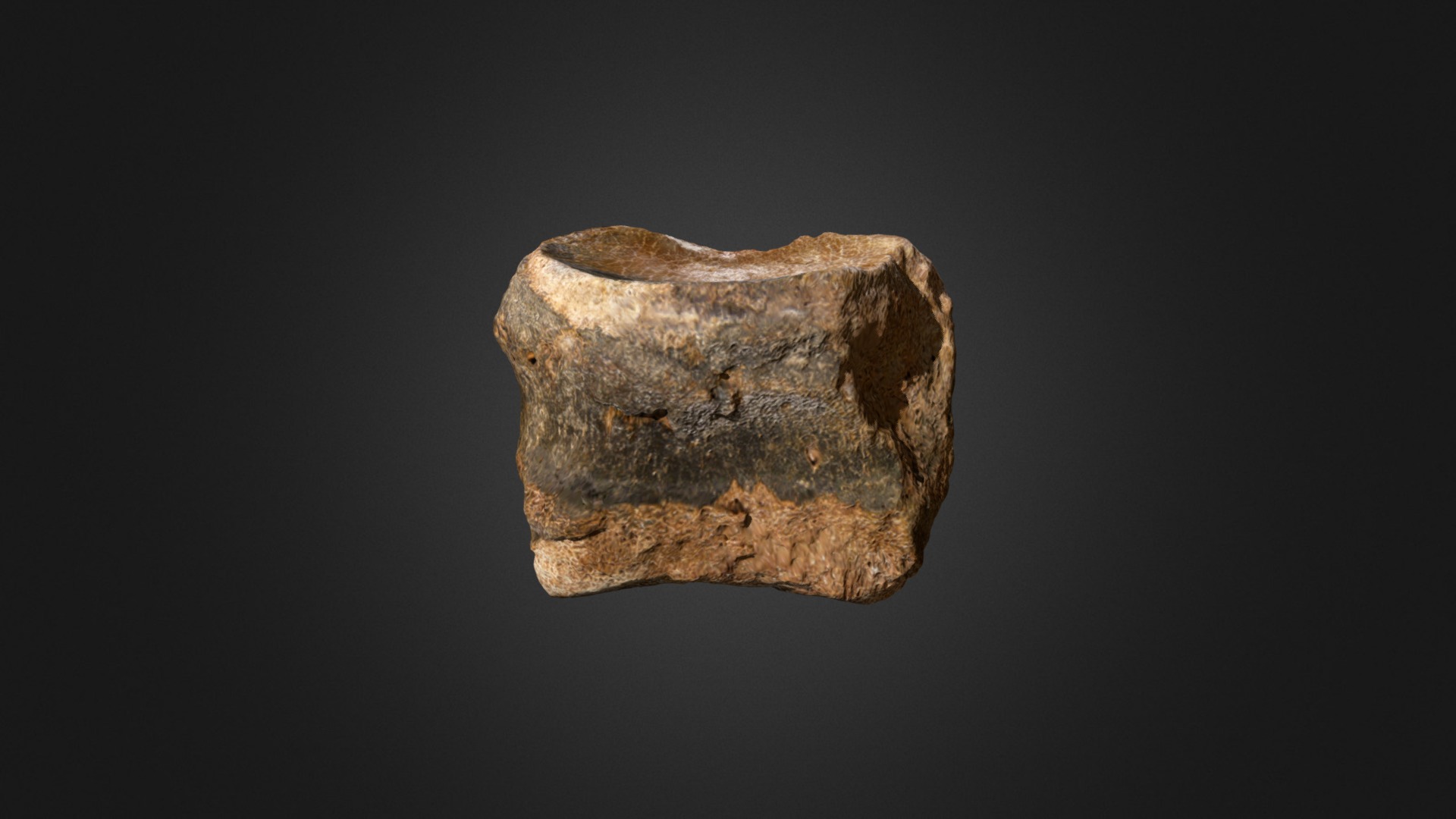 3D model Woolly Rhino 1st Phalanx - This is a 3D model of the Woolly Rhino 1st Phalanx. The 3D model is about a stone with a dark background.