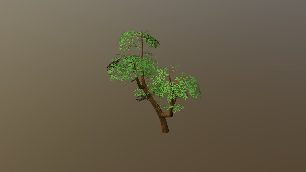 Stylized Low Poly Tree