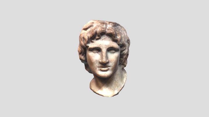 Marble portrait of Alexander The Great 3D Model