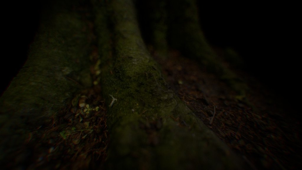 portion of tree