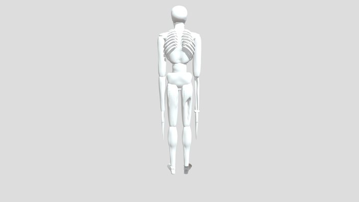 mimic 3D Model