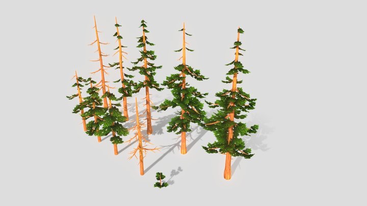 Stylized pine tree pack 3D Model