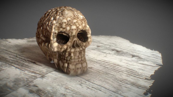 Skull out of skulls Test Scan 3D Model