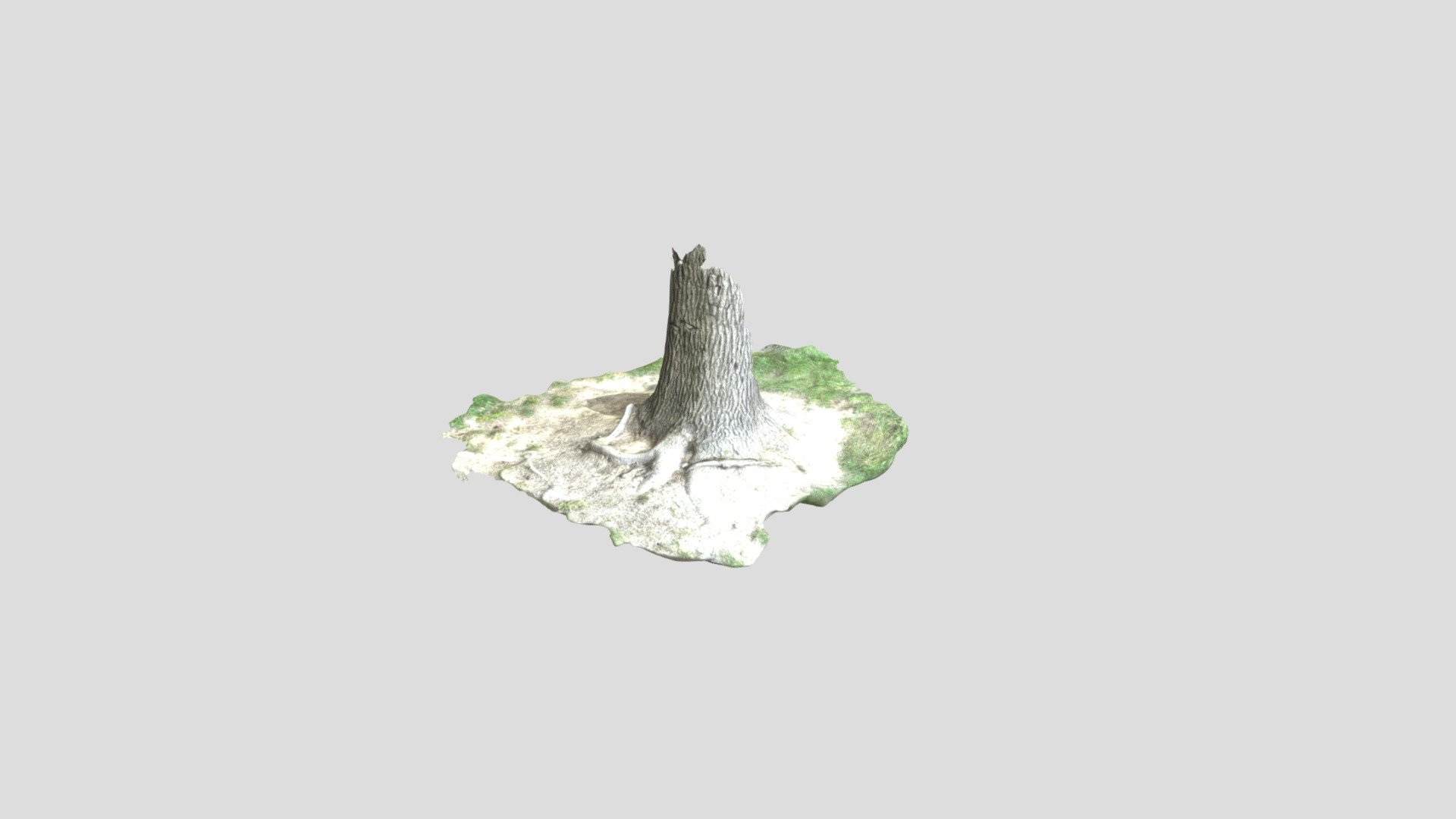 Tree stump photoscan CLEAN MESH