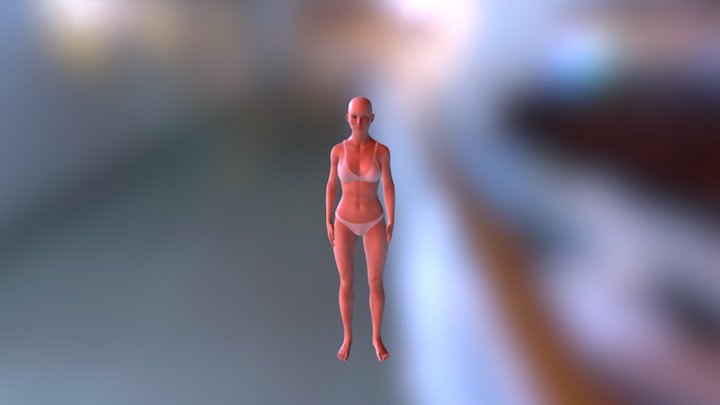 CC_Standard 3D Model