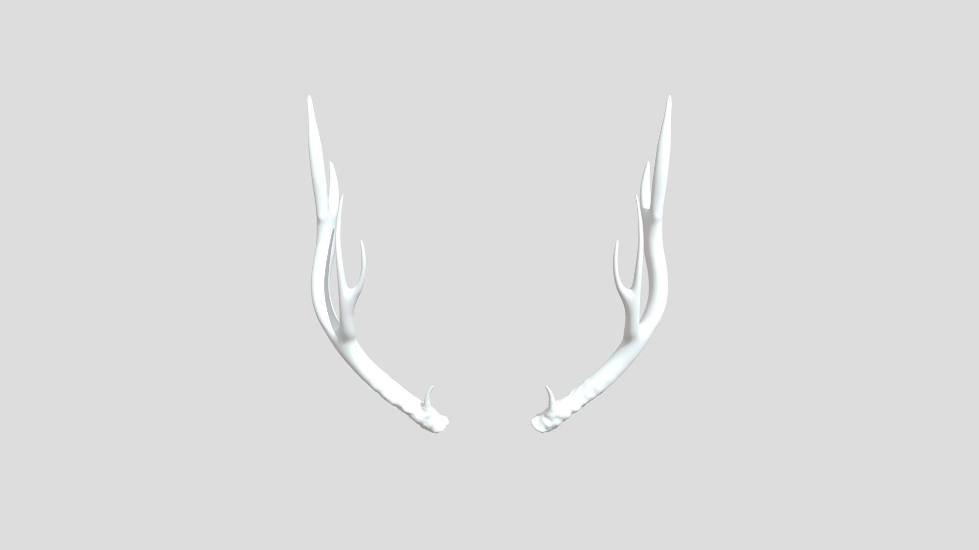 Antler - Download Free 3D model by Jesse_1 [46b1859] - Sketchfab