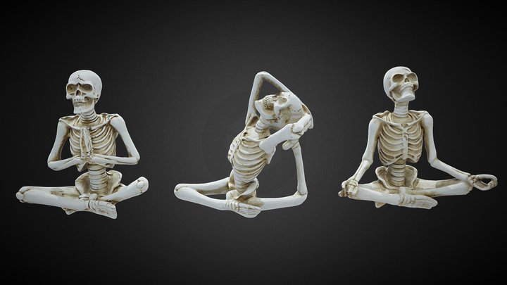 Three Skeletons Doing Yoga 3D Model
