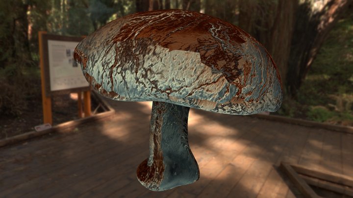 Shrumite Mushroom II 3D Model