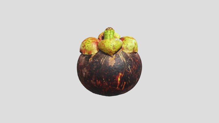 Manggis (Mangosteen) 3D Model