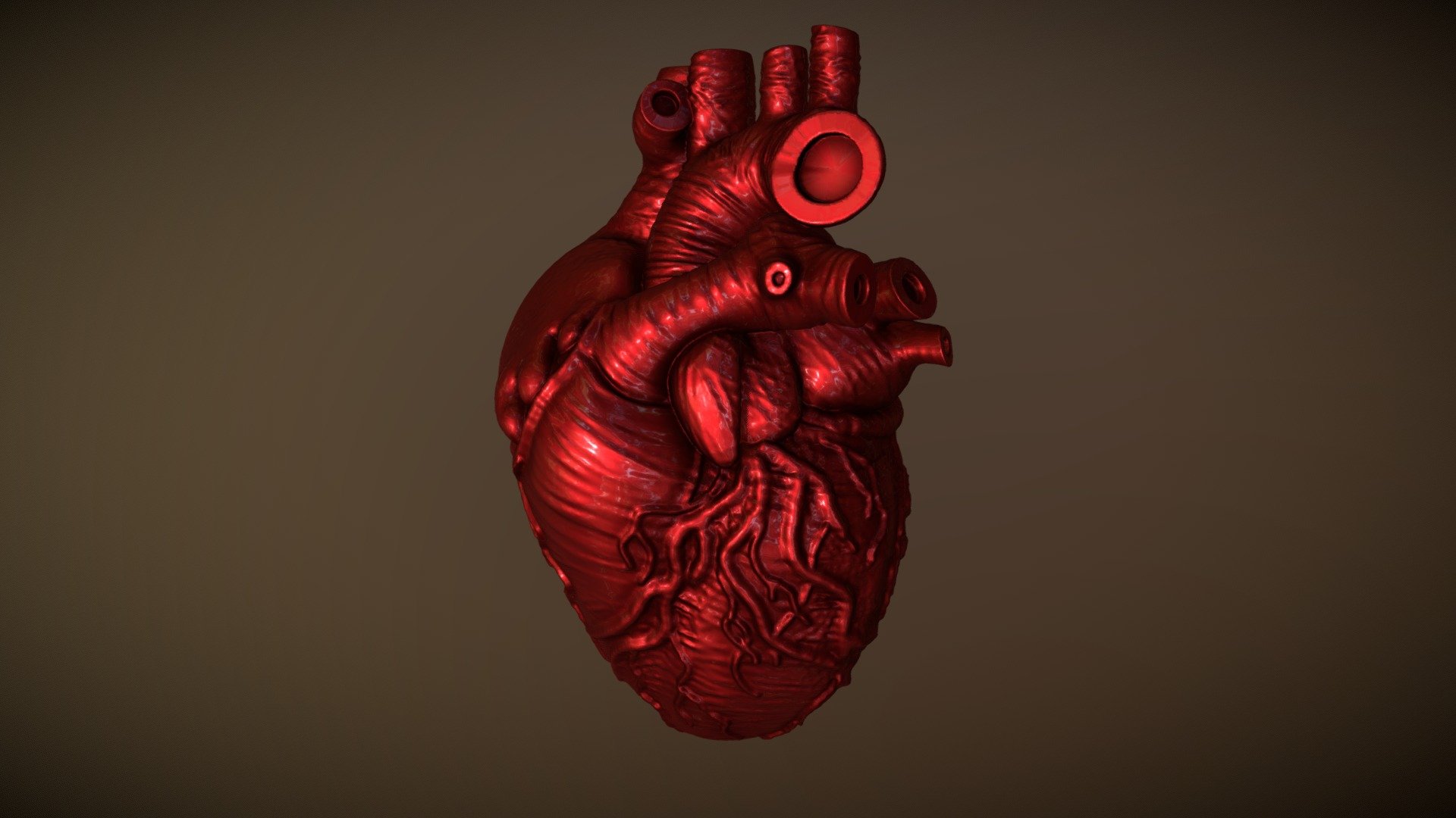 Human Heart 3D model by afriedlander (afriedlander