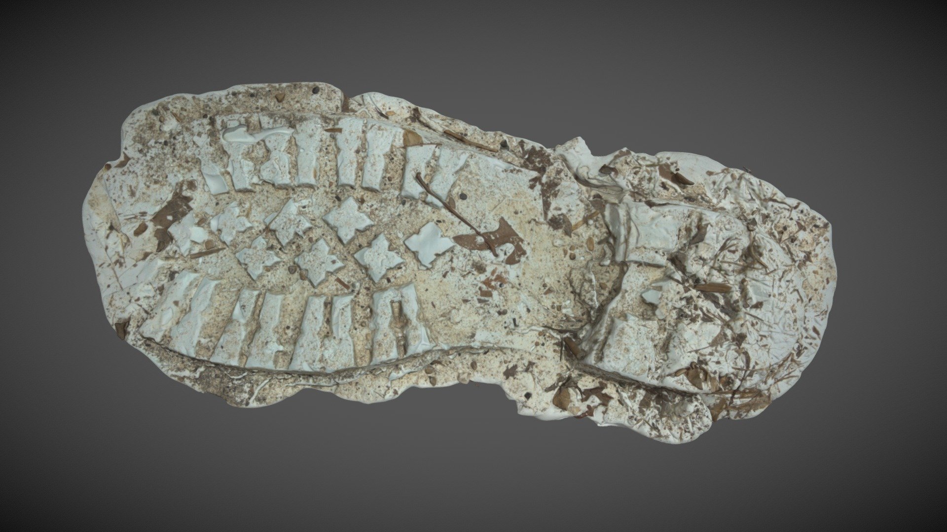 Footwear Cast 3D Model By Wisconsin State Crime Laboratory WSCL footwear-cast-3d-model-by-wisconsin-state-crime-laboratory-wscl