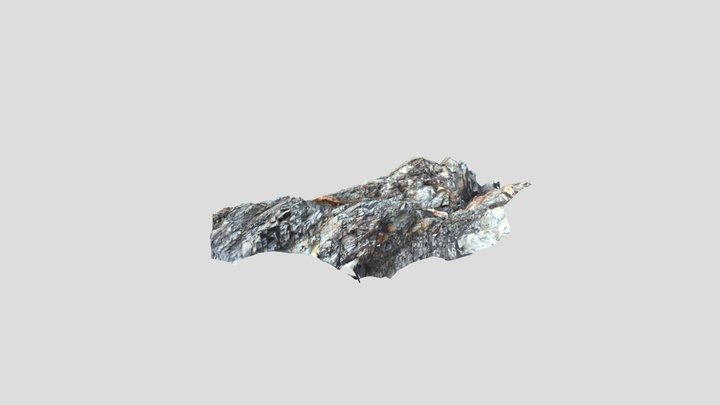 susami4 3D Model