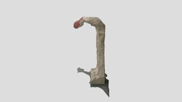 Kruller-Muller 17-03-2023 1/7 3D Model