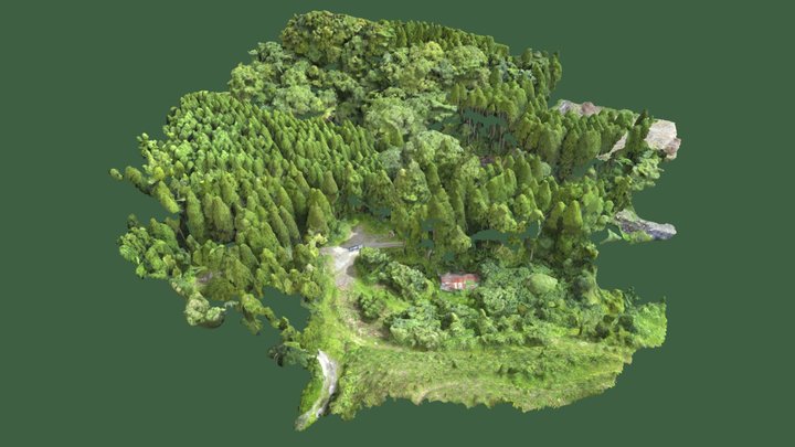 odm_textured_model_geo 3D Model