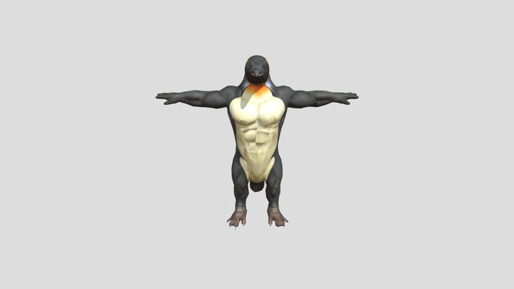 Muscle Penguin 3D Model