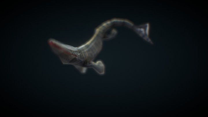 Mosasaurus 3D models - Sketchfab