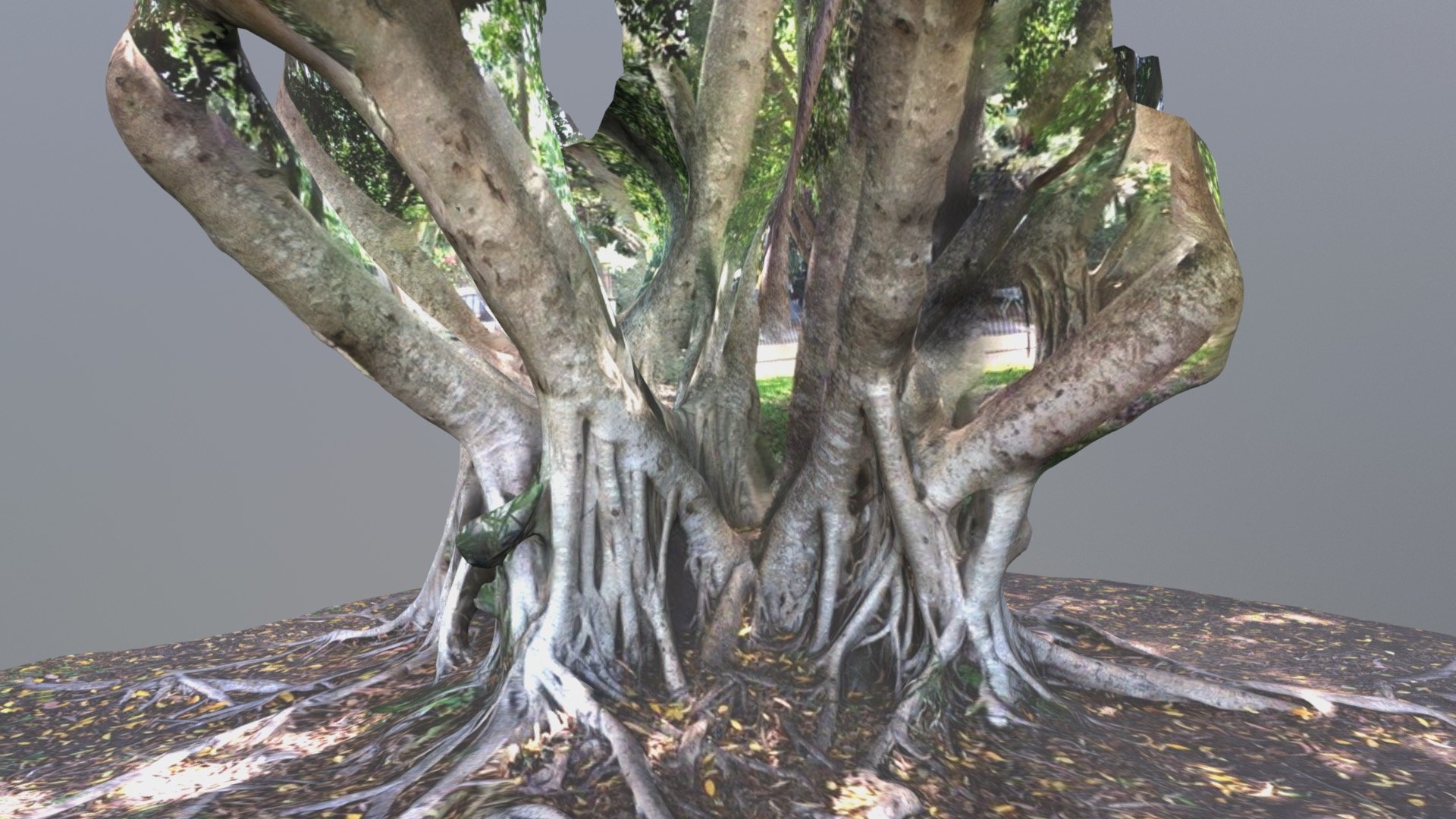 Tree2
