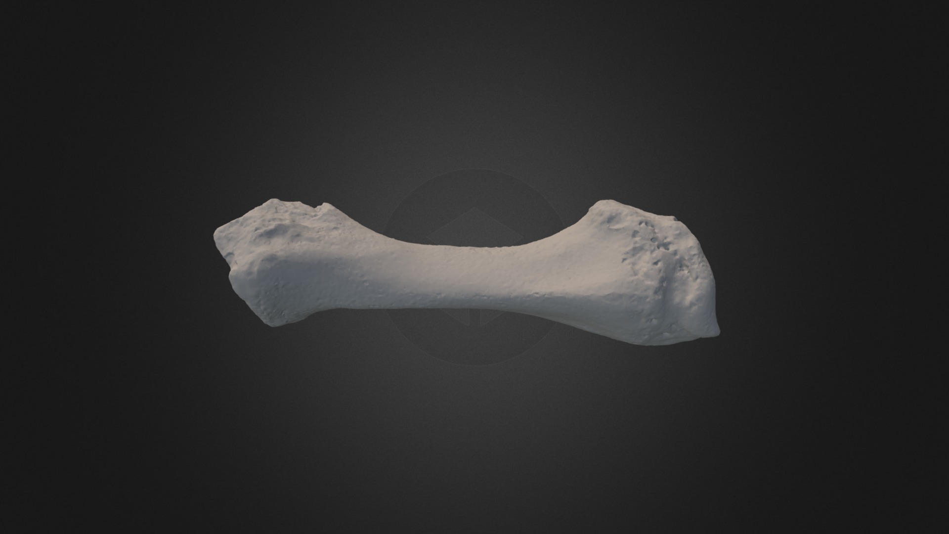3D model Woolly Rhino Radius - This is a 3D model of the Woolly Rhino Radius. The 3D model is about a stone with a dark background.