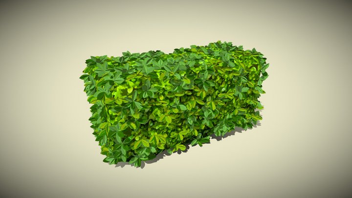 Hedge_Stylized 3D Model