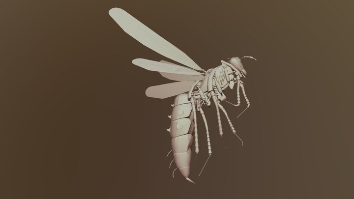Wasp - robotic 3D Model
