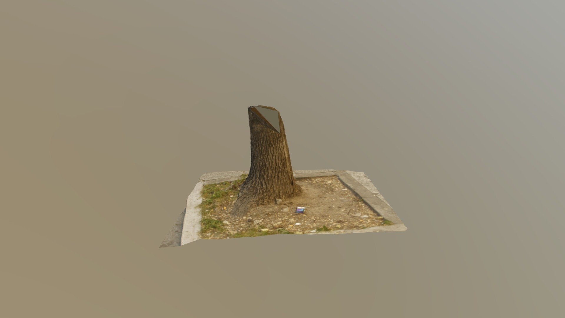 Espacio Arbol