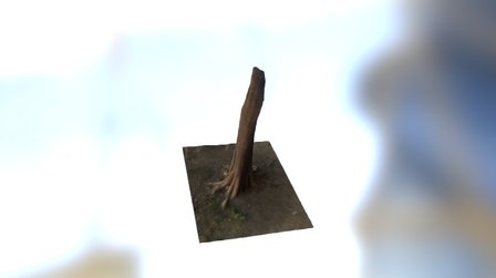 Treebark 3D Model