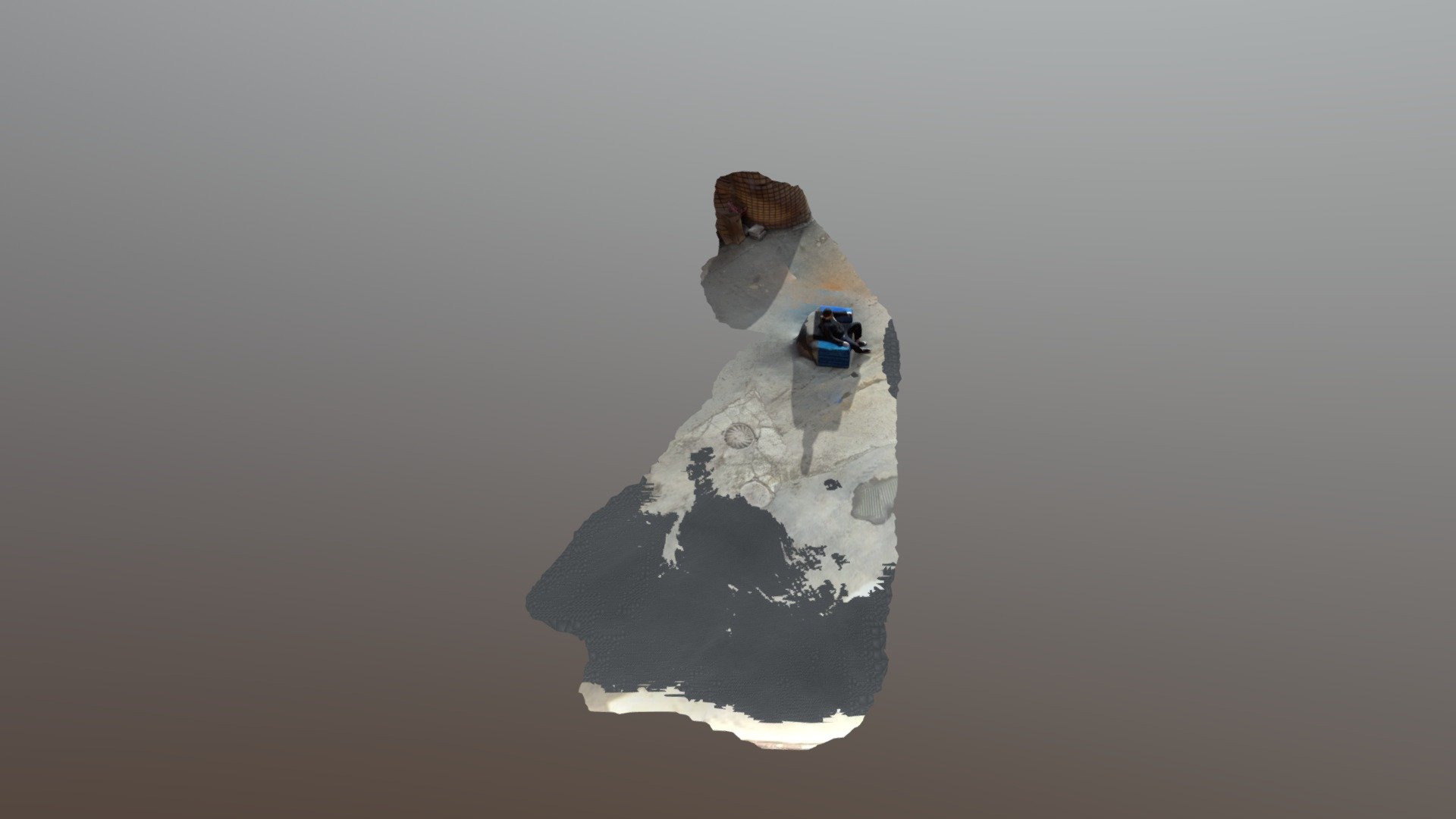 A TRNIO Model