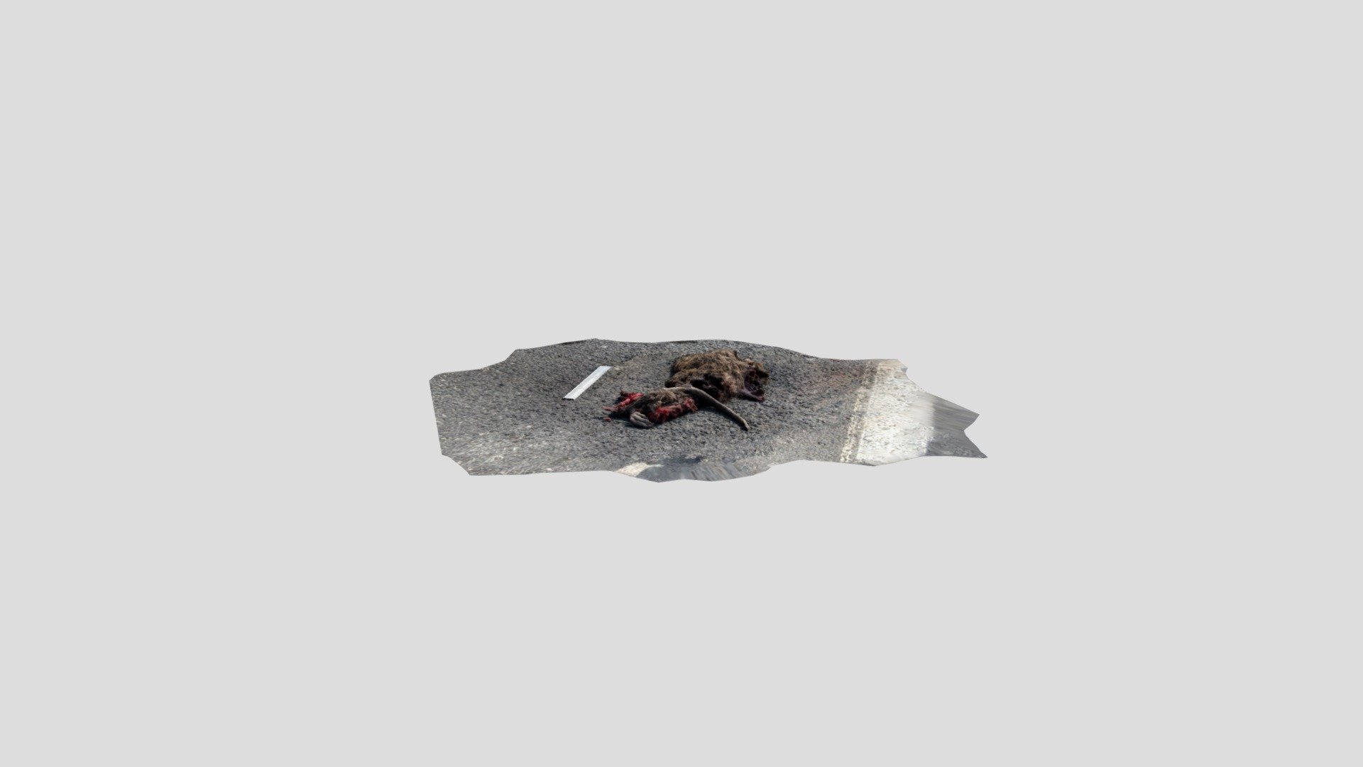 Polycam capture