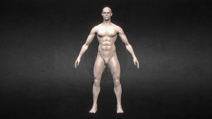 Male Character Sculpt 3D Model