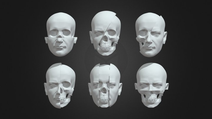 sculls haeds 3D Model