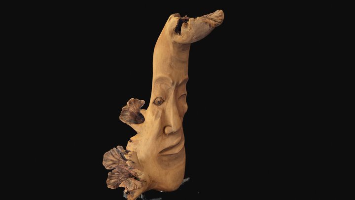 Oilvewood Sculpture 3D Model