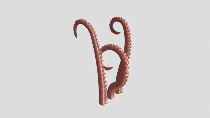 Kraken Octopus Tentacle Rigged 3D Model