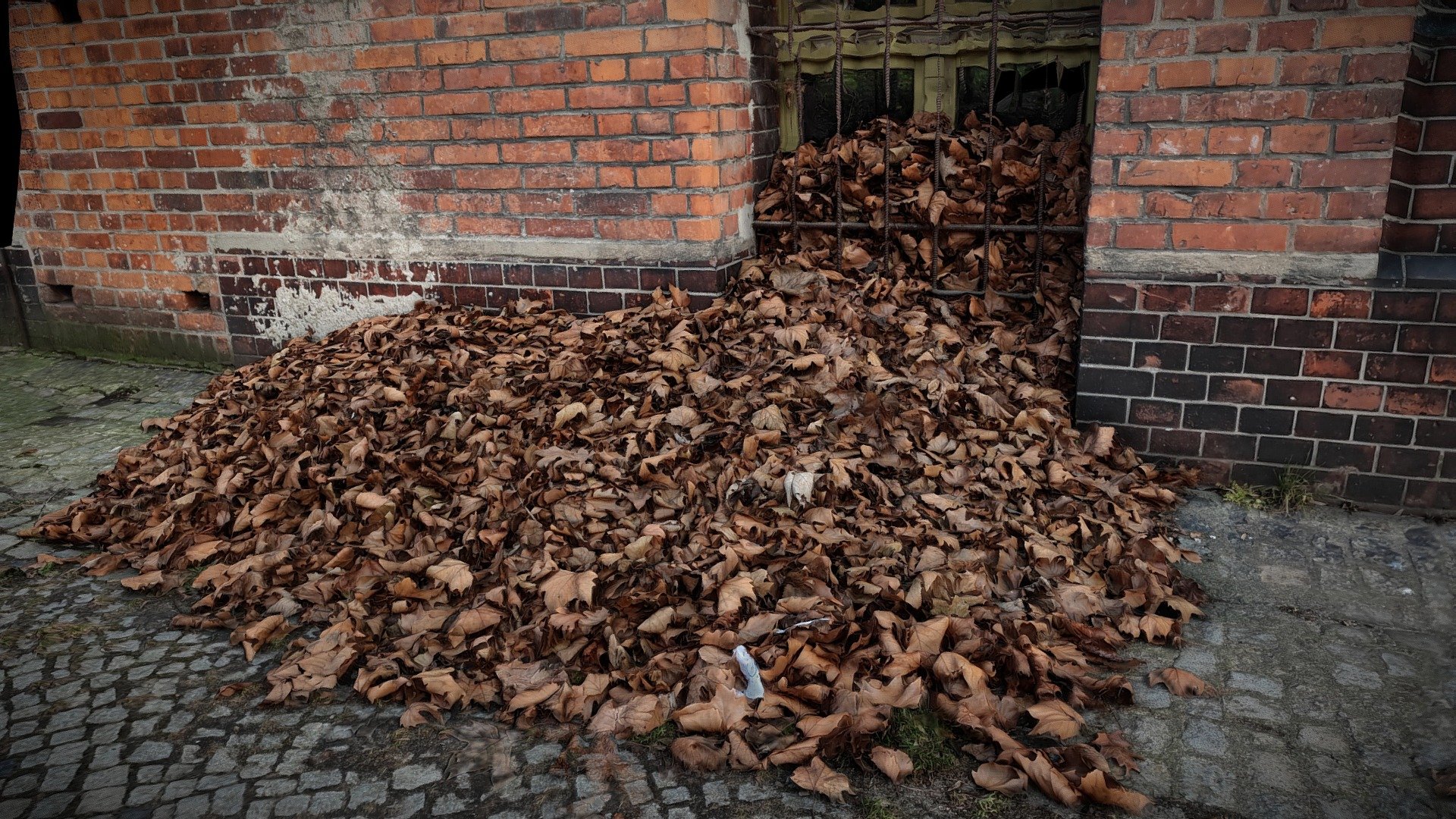 Wroclaw, Nadodrze, Pile of leafes