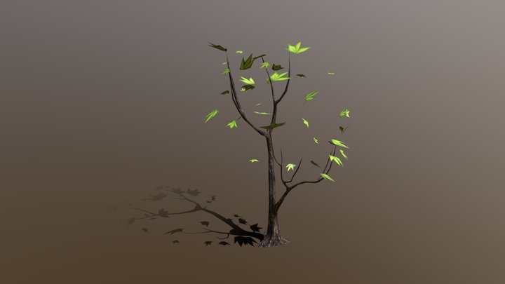 Vine_ Maple 3D Model