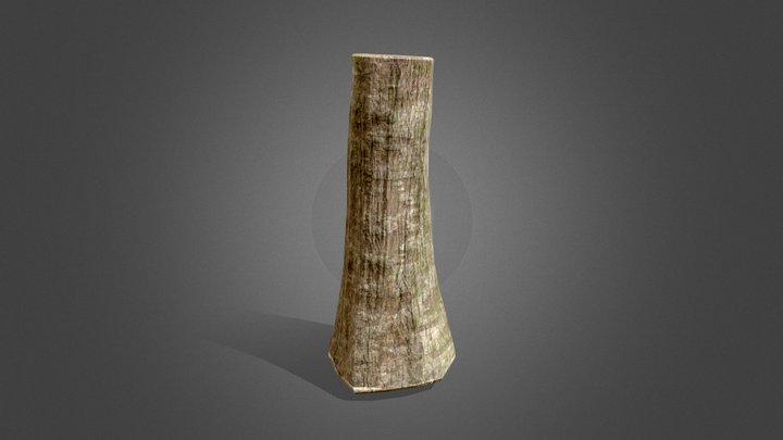 Realistic Log: AshTree Lowpoly 3D Model