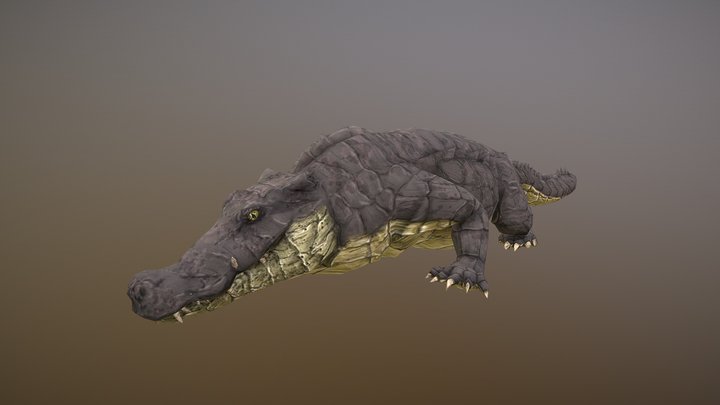 Stylized Alligator 3D Model