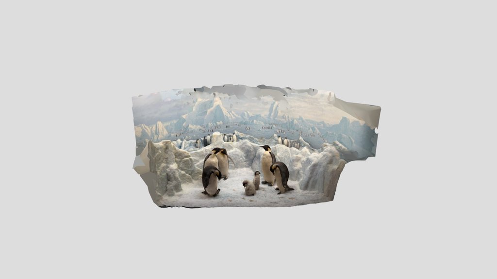 Penguin Diorama