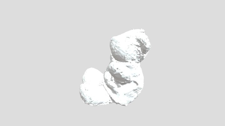 Cornell Bear 3D Model