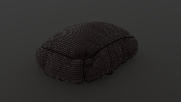 Pillow 3D Model