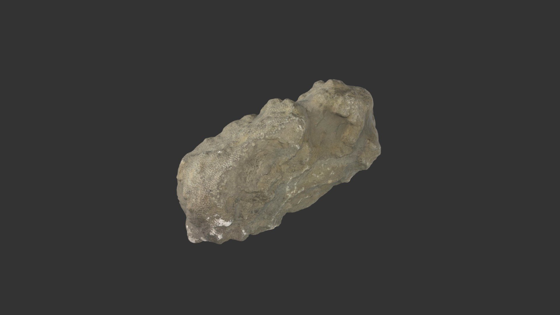 Foerstephyllum